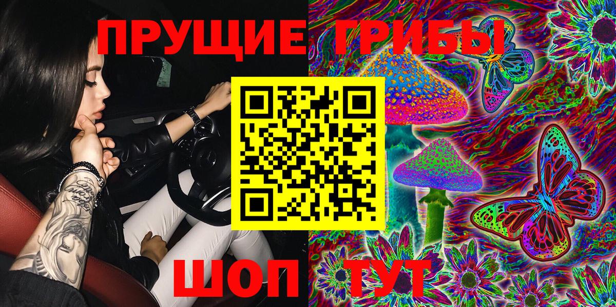 Псилоцибиновые грибы Cubensis Электрогорск