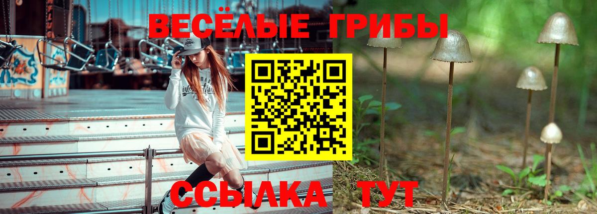 Галлюциногенные грибы GOLDEN TEACHER Электрогорск