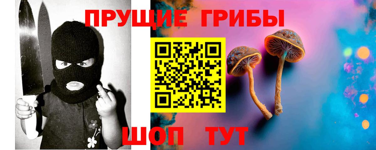наркота  Вход с VPN  Электрогорск  Галлюциногенные грибы Cubensis 