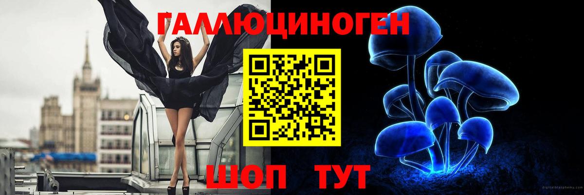 Амфетамин Электрогорск